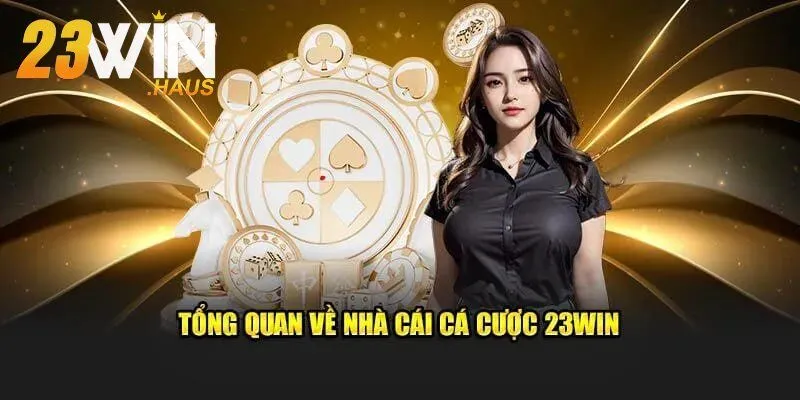 Trang chủ 23win 48 Giới thiệu đôi nét về thương hiệu nhà cái 23Win